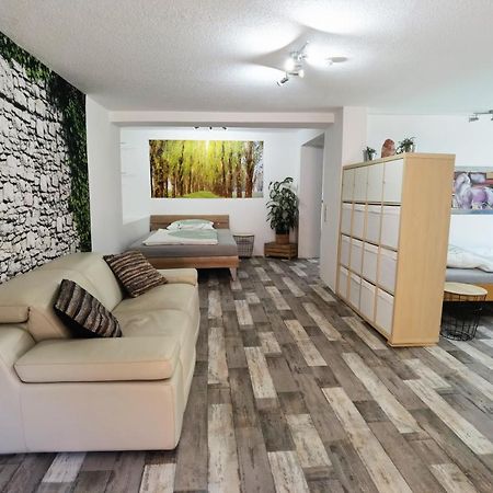 Ferienwohnung - Appartement "Painted Horse" Im Herzen Des Pfaelzer Waldes Reichenbach-Steegen Buitenkant foto