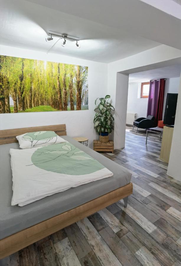 Ferienwohnung - Appartement "Painted Horse" Im Herzen Des Pfaelzer Waldes Reichenbach-Steegen Buitenkant foto